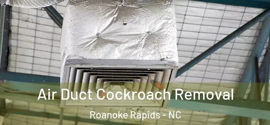  Air Duct Cockroach Removal Roanoke Rapids - NC