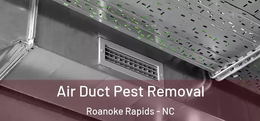  Air Duct Pest Removal Roanoke Rapids - NC