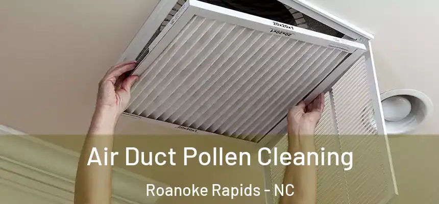  Air Duct Pollen Cleaning Roanoke Rapids - NC
