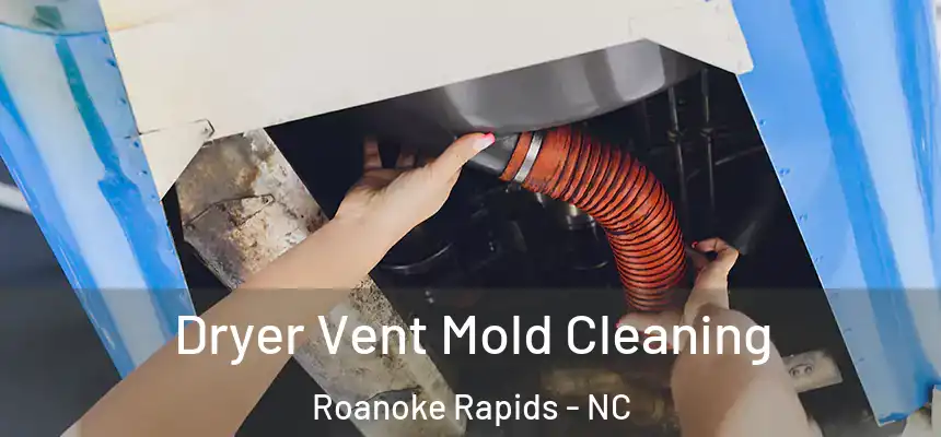  Dryer Vent Mold Cleaning Roanoke Rapids - NC