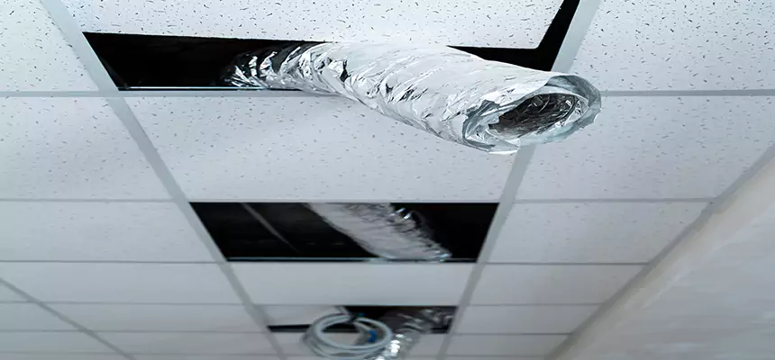 Affordable HVAC Sanitizing After Pest Removal in Roanoke Rapids