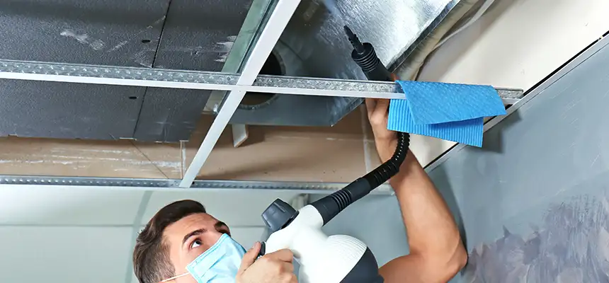 Our Air Duct Rodent Removal Services in Roanoke Rapids, NC
