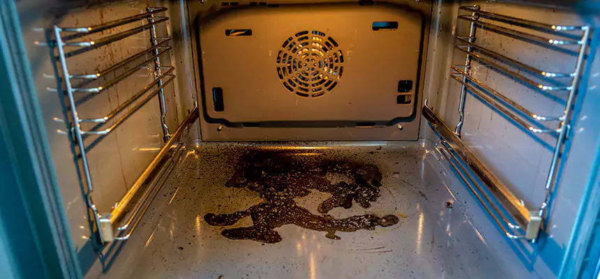 Our Dryer Vent Mold Cleaning Services in Roanoke Rapids, NC