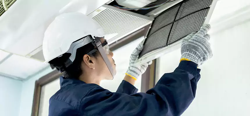 Our Mold & Mildew Removal from Air Ducts Services in Roanoke Rapids, NC