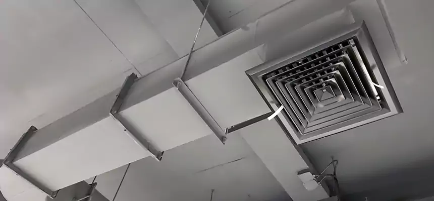 Our Pest Removal From Ducts Services in Roanoke Rapids, NC