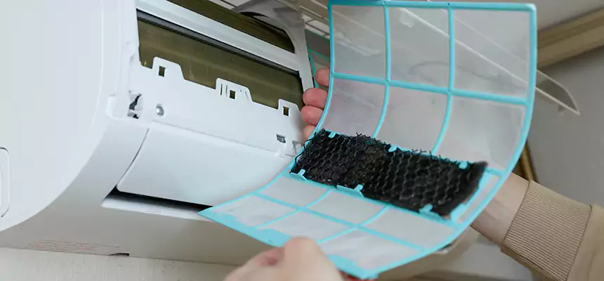 Gentle Ductwork Odor-Control Pet Dander Duct Cleaning in Roanoke Rapids, NC