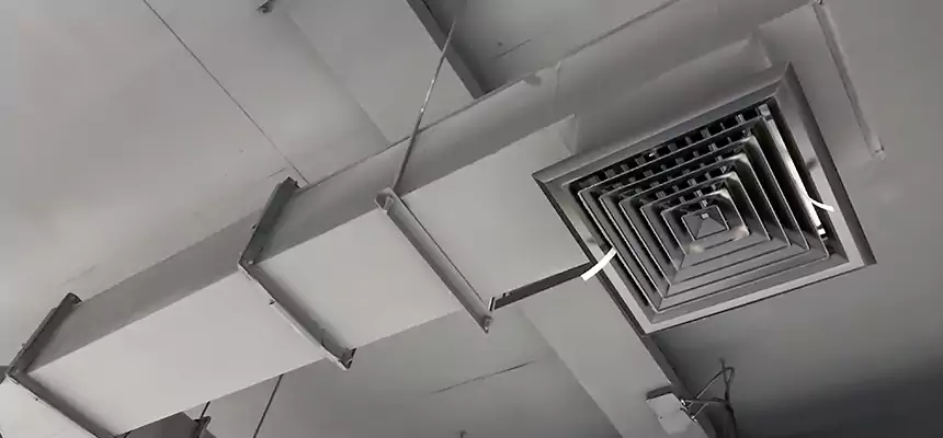 Our Rodent Droppings In Vents Services in Roanoke Rapids, NC