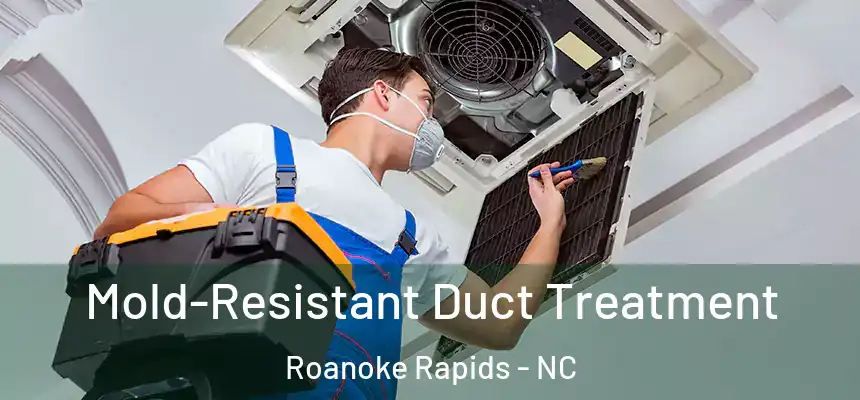  Mold-Resistant Duct Treatment Roanoke Rapids - NC