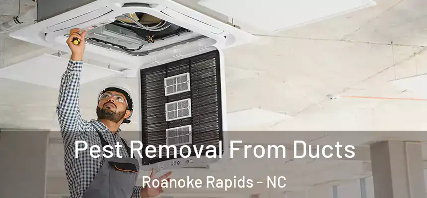  Pest Removal From Ducts Roanoke Rapids - NC