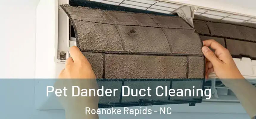  Pet Dander Duct Cleaning Roanoke Rapids - NC