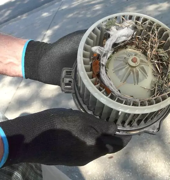 About Air Duct Mice Removal in Roanoke Rapids, NC