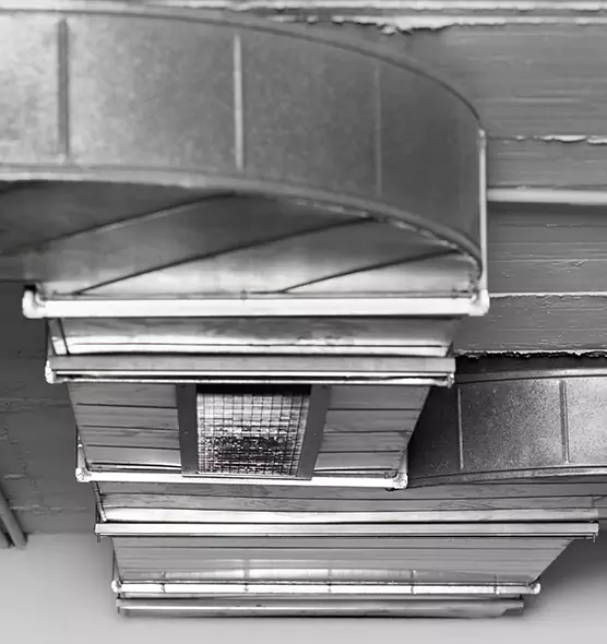 Professional Air Duct Pest Removal in Roanoke Rapids, NC