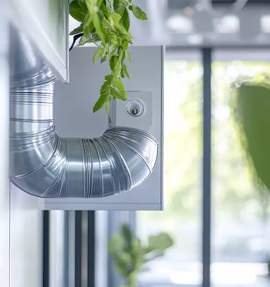 Professional Eco-Safe Dryer Vent Cleaning in Roanoke Rapids, NC