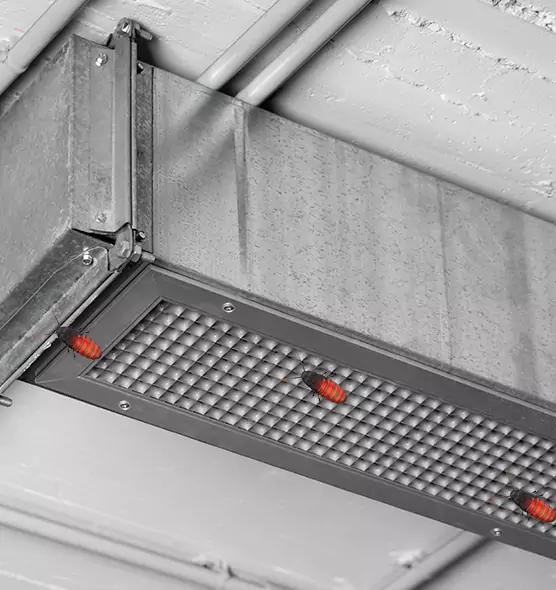 Affordable Insect Removal from Air Ducts in Roanoke Rapids, NC