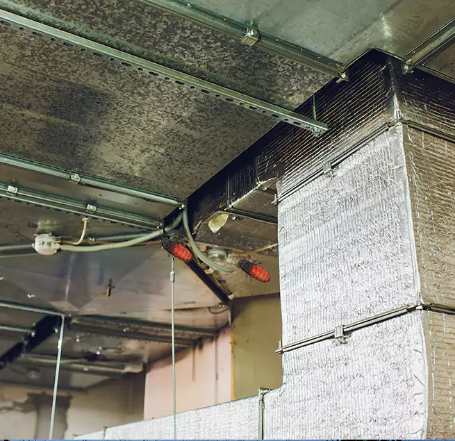 Why Homeowners & Businesses Trust Us in Roanoke Rapids, NC?