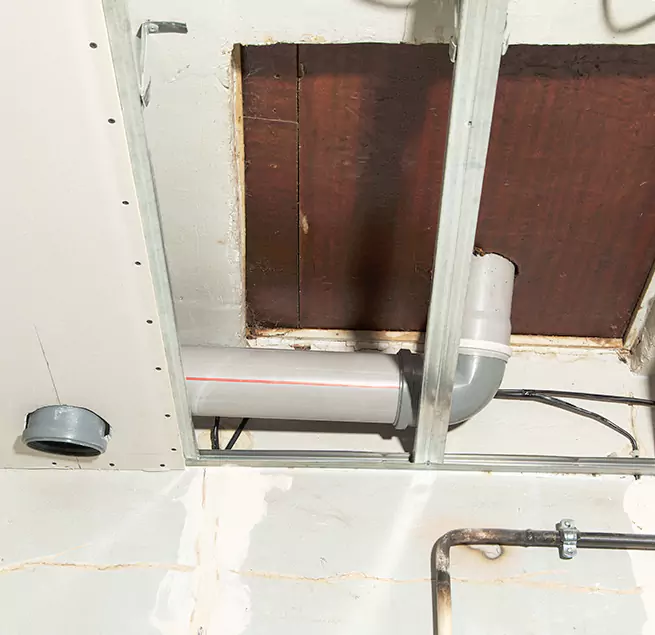 Why Homeowners & Businesses Trust Us in Roanoke Rapids, NC?