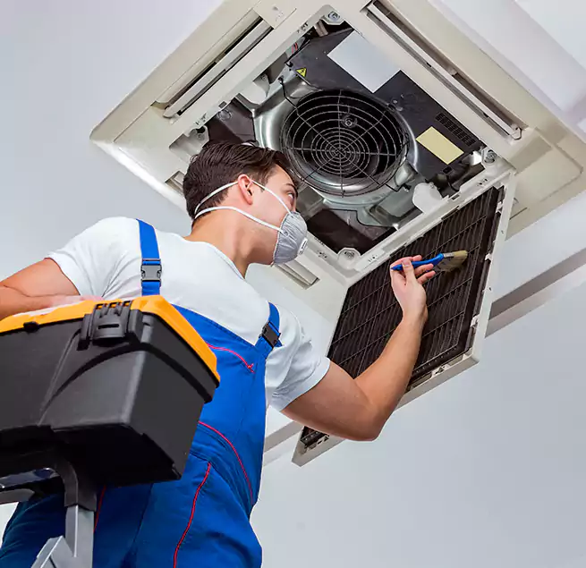 Why Homeowners & Businesses Trust Us in Roanoke Rapids, NC?