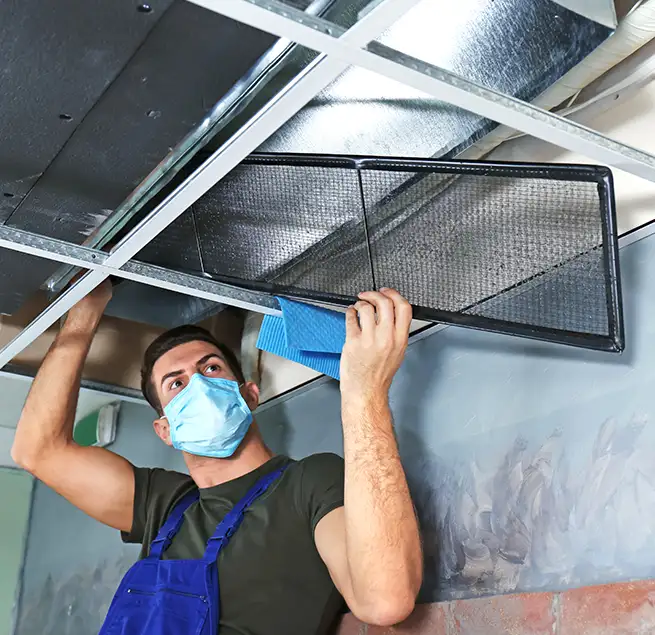 Why Homeowners & Businesses Trust Us in Roanoke Rapids, NC?