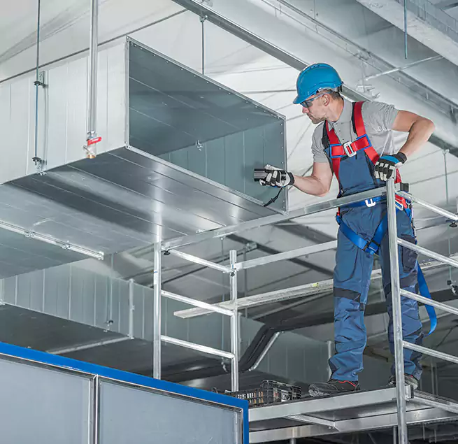 Why Homeowners & Businesses Trust Us in Roanoke Rapids, NC?